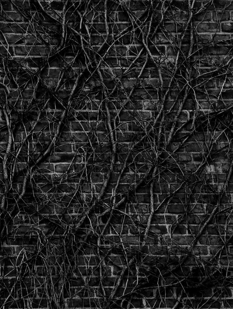 Photograph by Шеин андрей