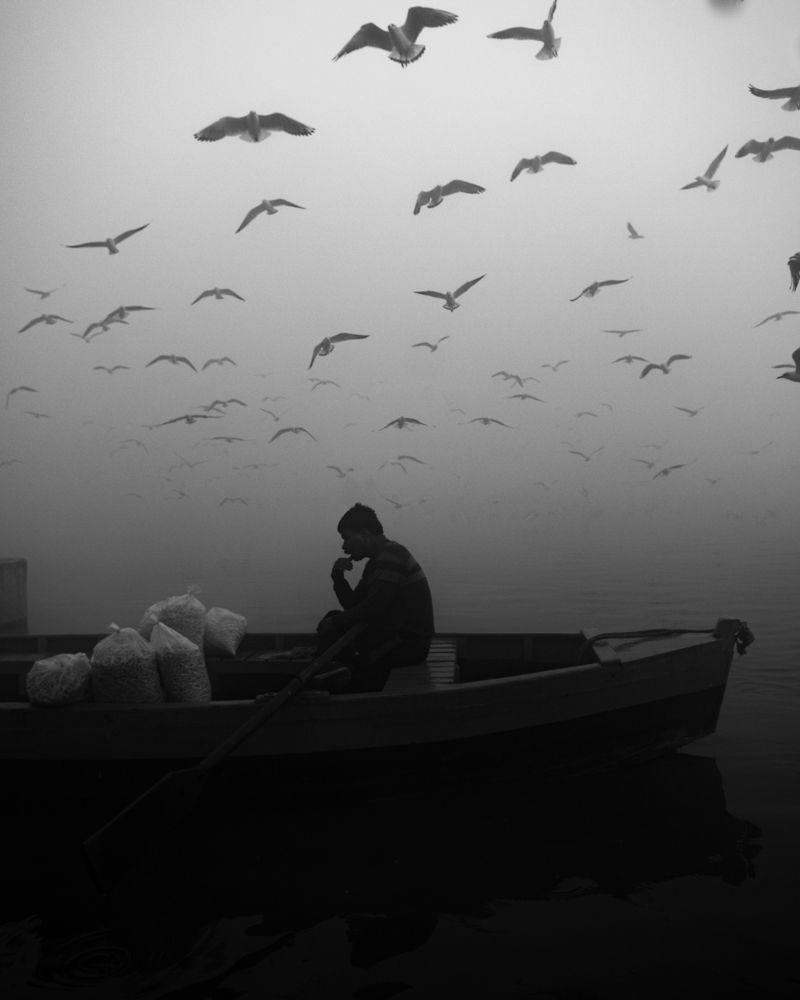Solitude Beneath Wings