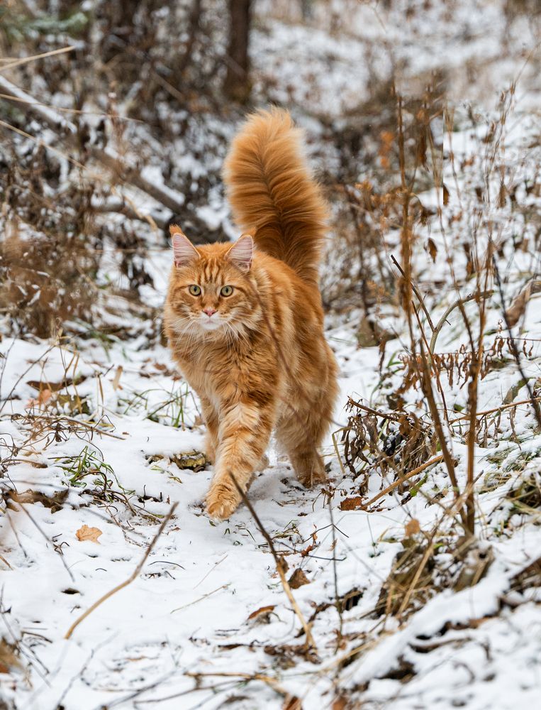 Photograph by NADEZHDA PELYMSKAIA