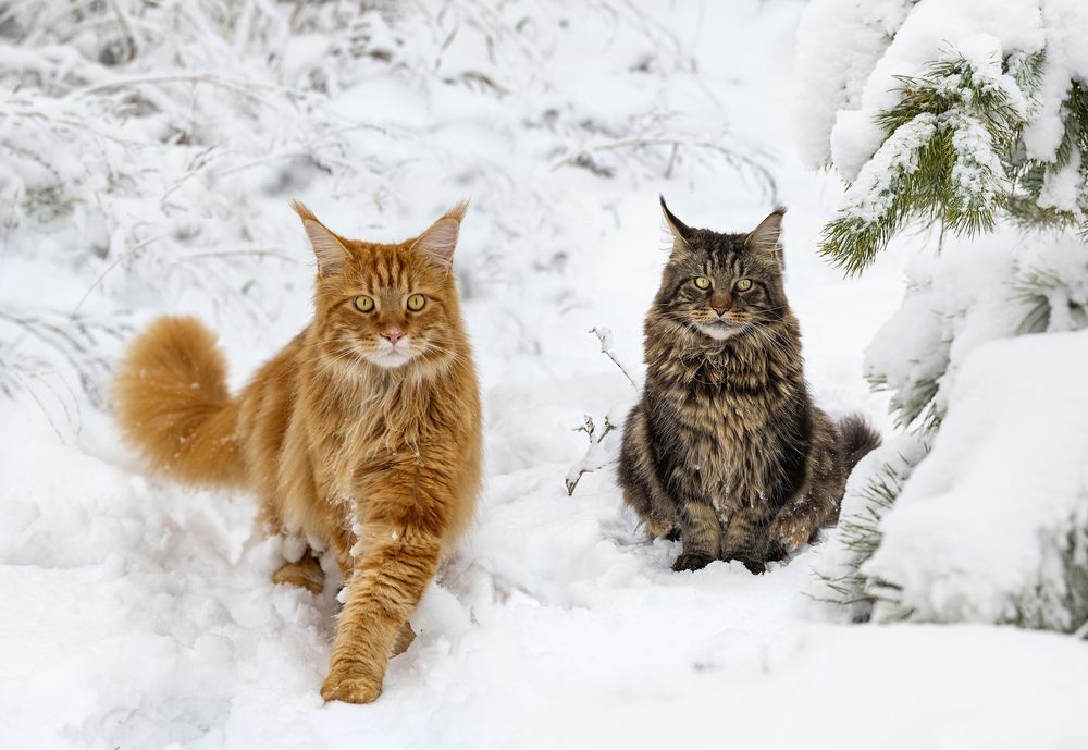 Photograph by NADEZHDA PELYMSKAIA