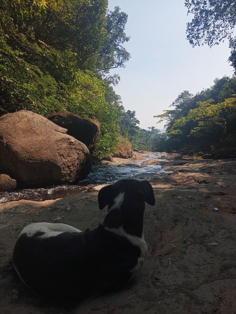 Photograph by Vaishnavi Bhivsane
