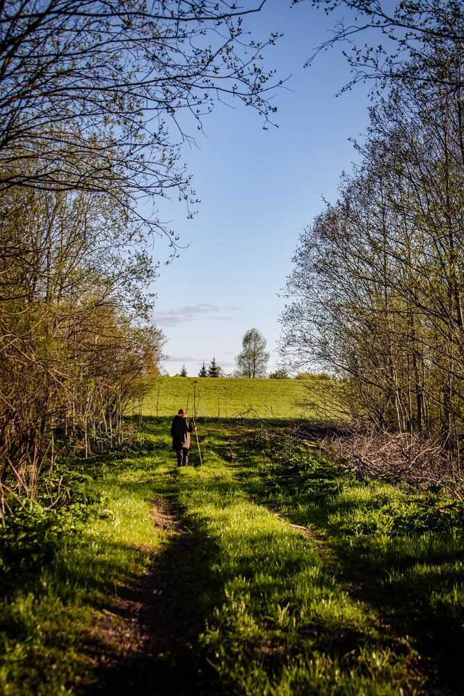 Photograph by Ольга Сафронова