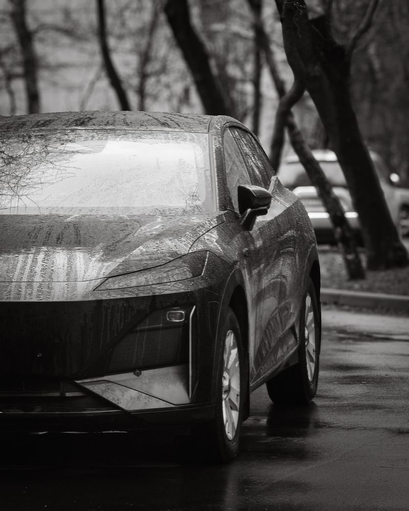 Photograph by Дмитрий Спидченко