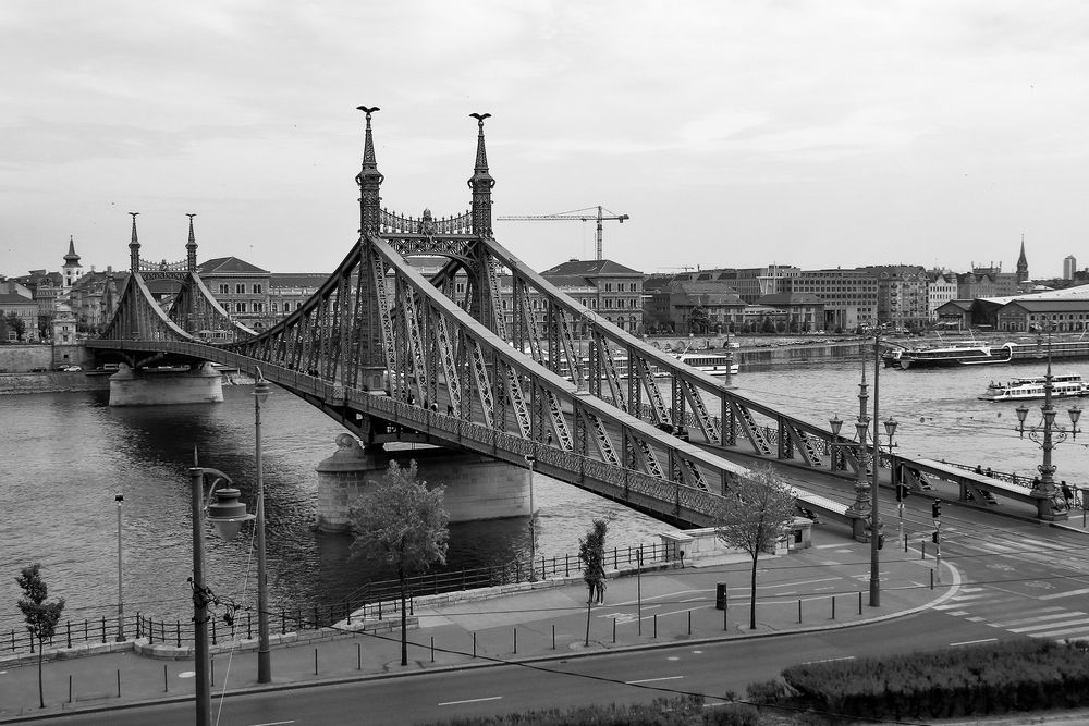 Фотография автора Светлана Долотова