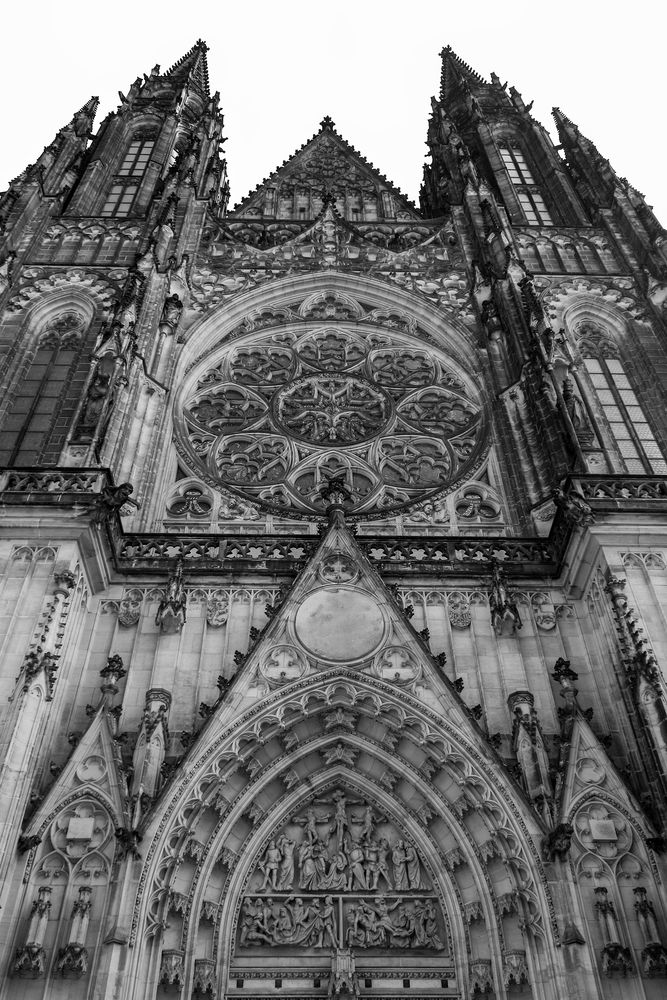 Фотография автора Светлана Долотова