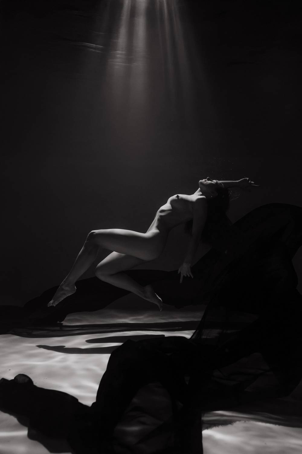 Фотография #12906301