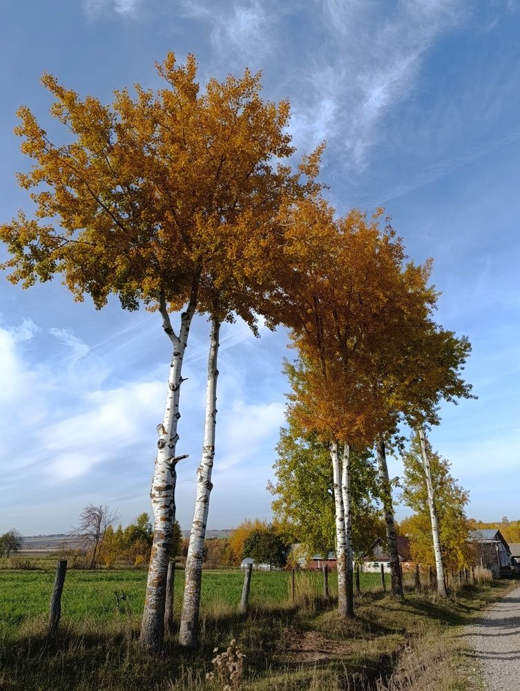 Photograph by Юрий Гордеев