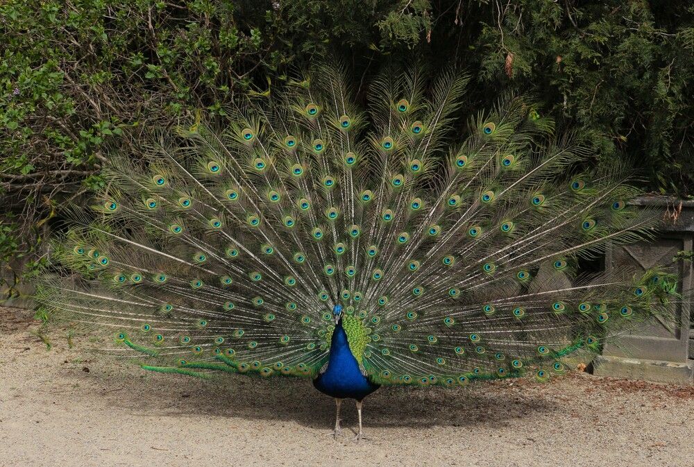 Photograph by ЮЛИЯ ПАВЛЕНКО