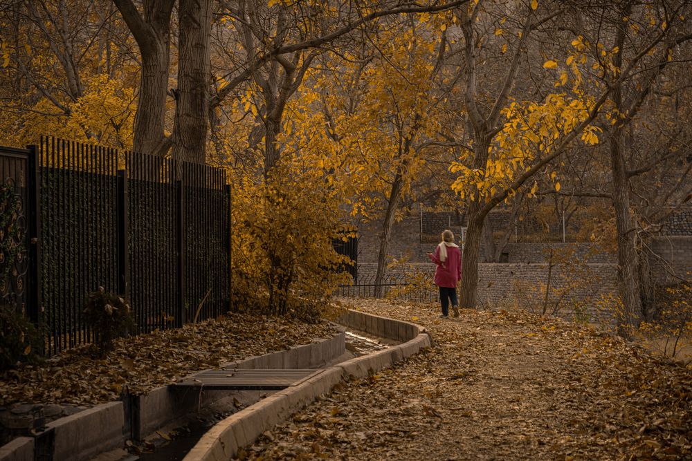 In the arms of autumn
