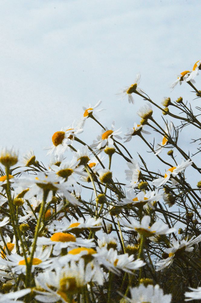 Photograph by Алёна Митькина