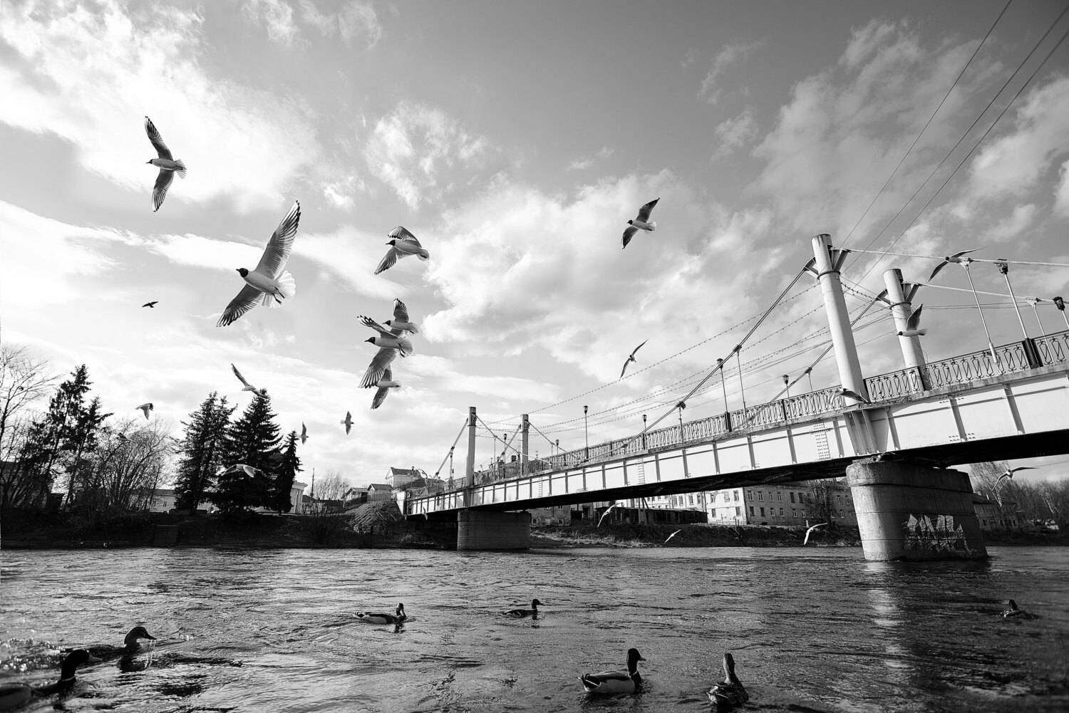 Торжокский пешеходный мост