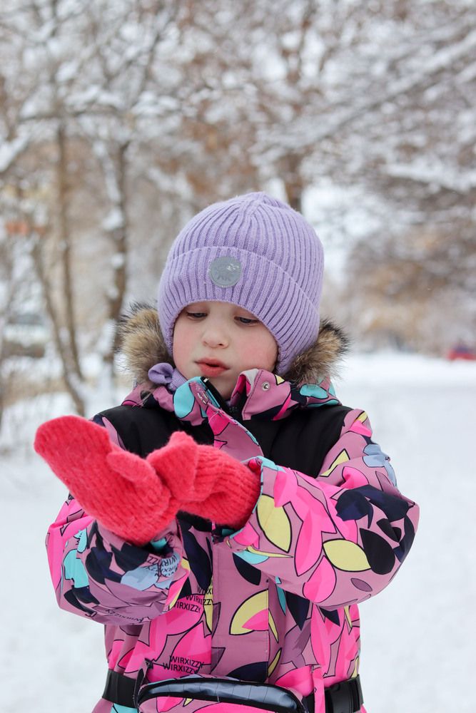 Фотография автора Мещерская Виктория