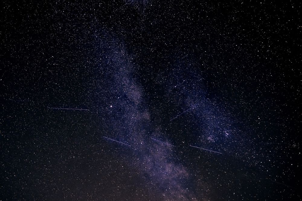 Фотография автора Вера Базилевская