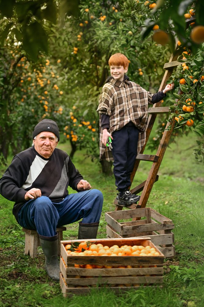 Photograph by Мария Жоголева