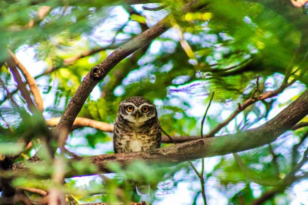 Photograph by Kishan Upadhyay