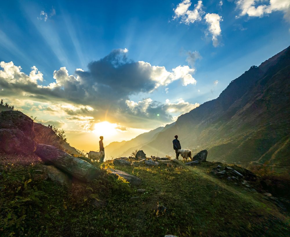 Himalayan Shepherds