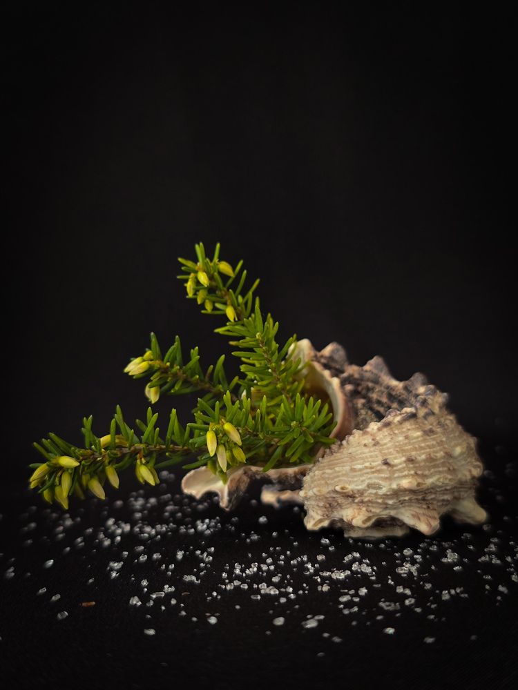 Photograph by Наталья Чурашова