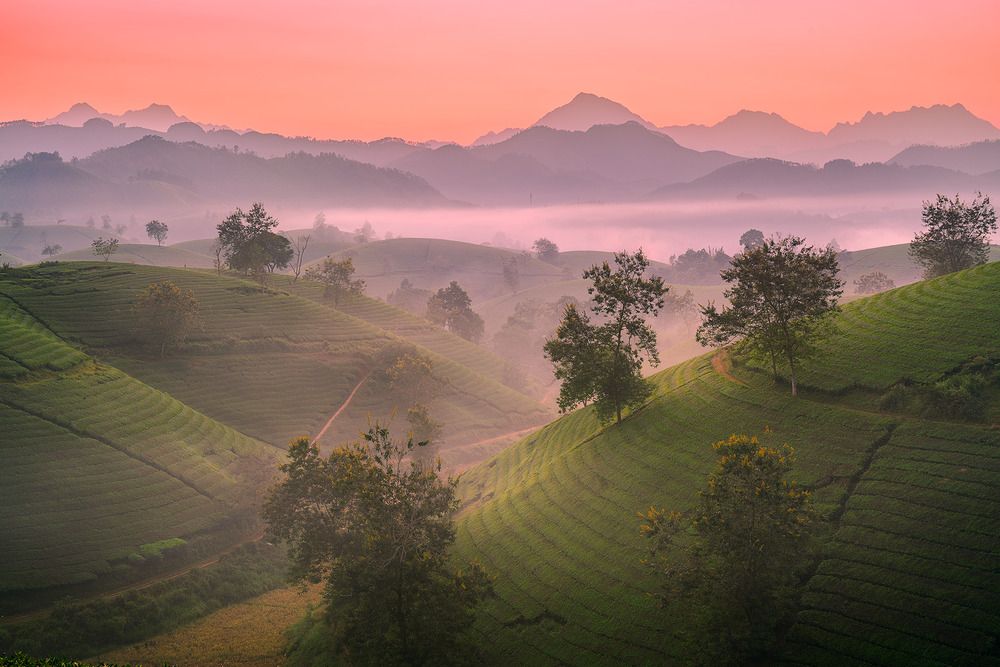 Фотография автора Dao Hoang