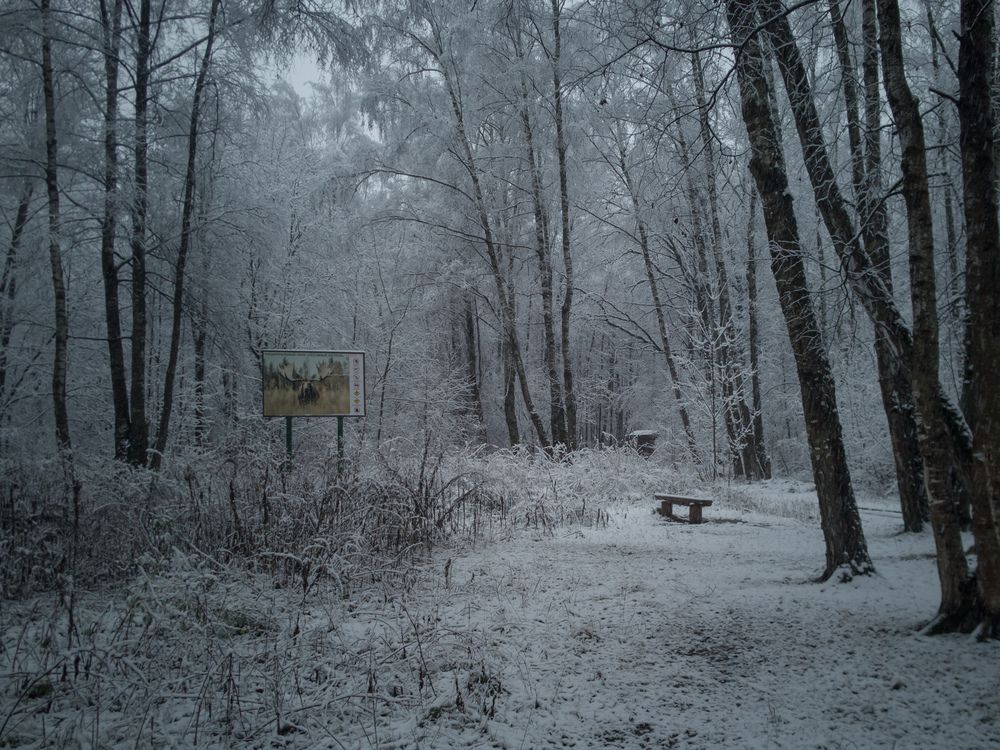 Photo #12907398