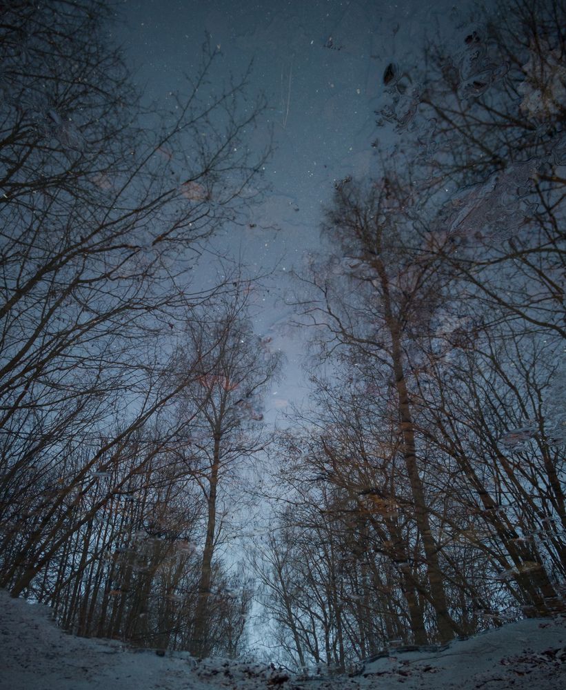 Photo #12907404
