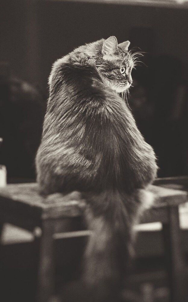 Photograph by Ирина Лукашова
