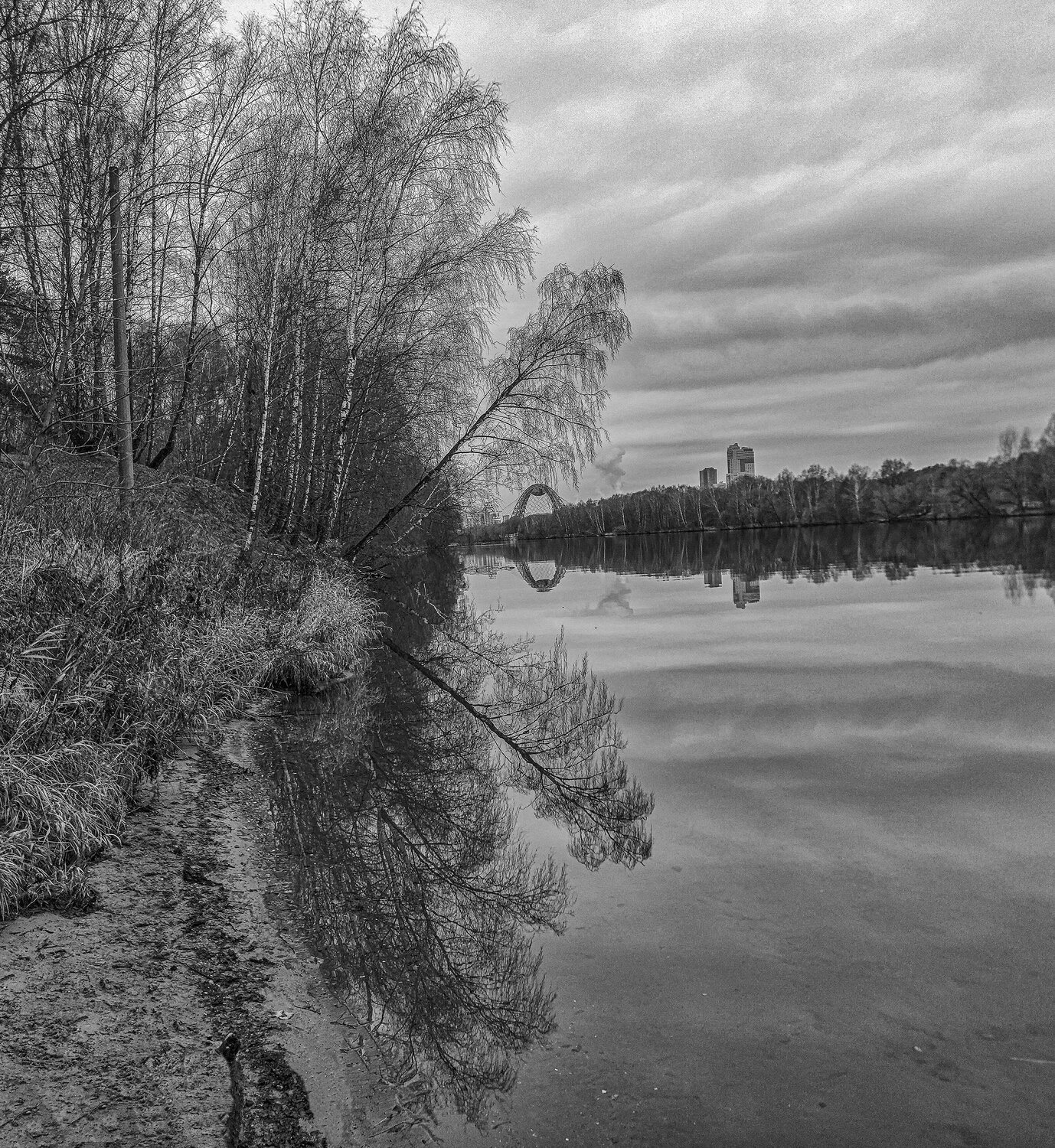 Photo #12907718
