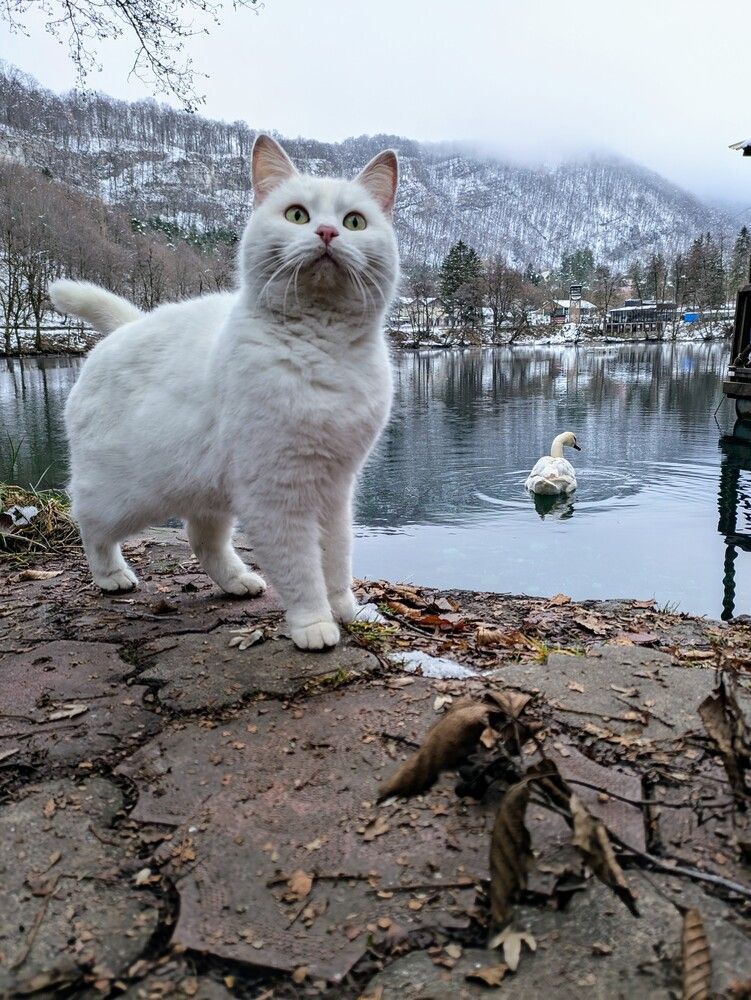 Photograph by Иван Губский
