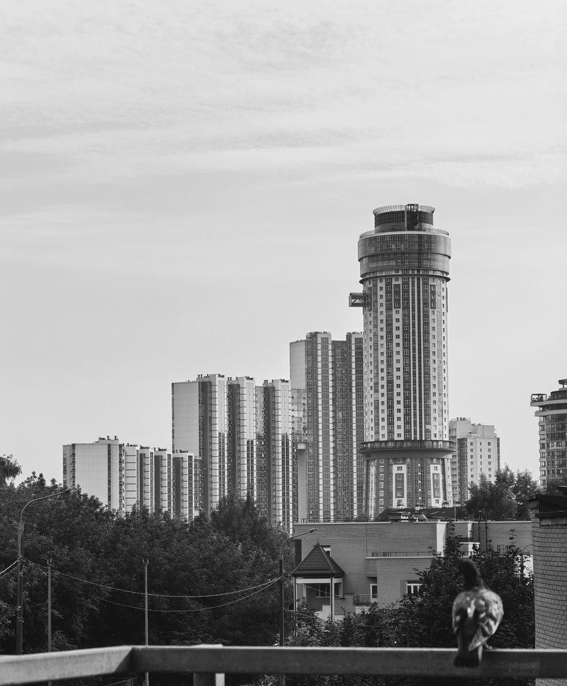 Photograph by Виталий Полозов