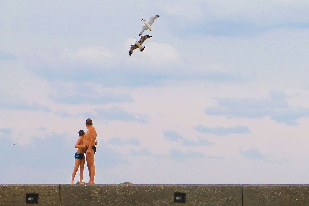 Фотография автора Анатолий Дауров