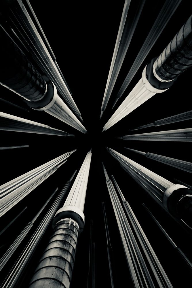 Фотография автора Jarmila Capkova