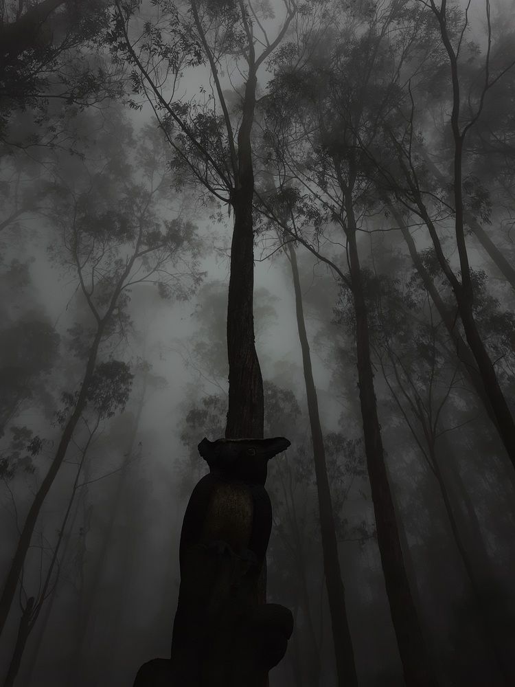 Photograph by Arun Chockalingam