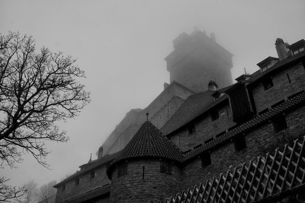 Photograph by Елена Суворова