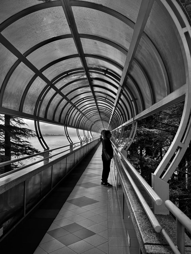 Под сводами