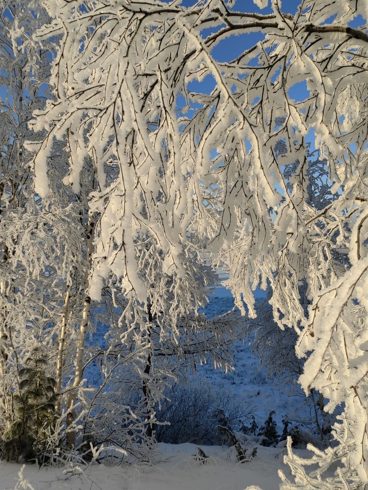 Photograph by Юлия Арестова