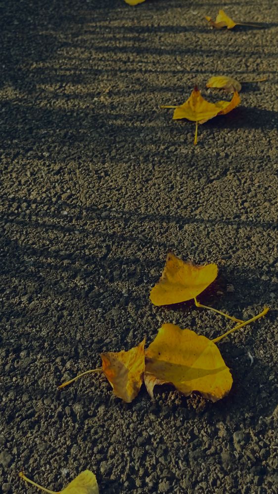 Photograph by Регина Усова