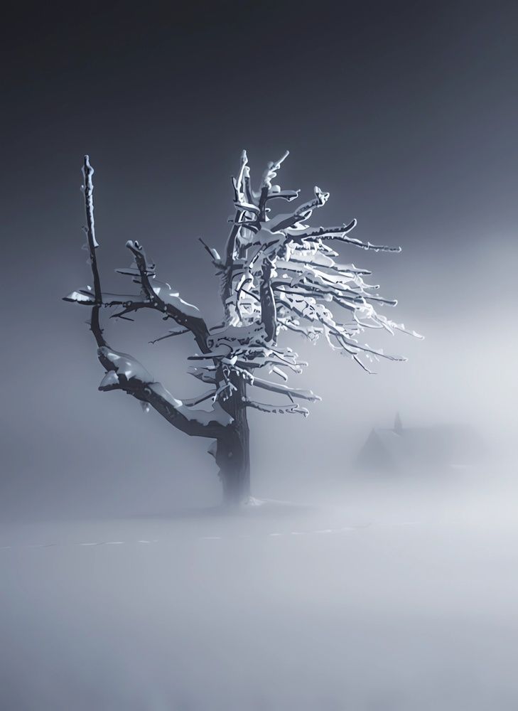 Photograph by Дмитрий