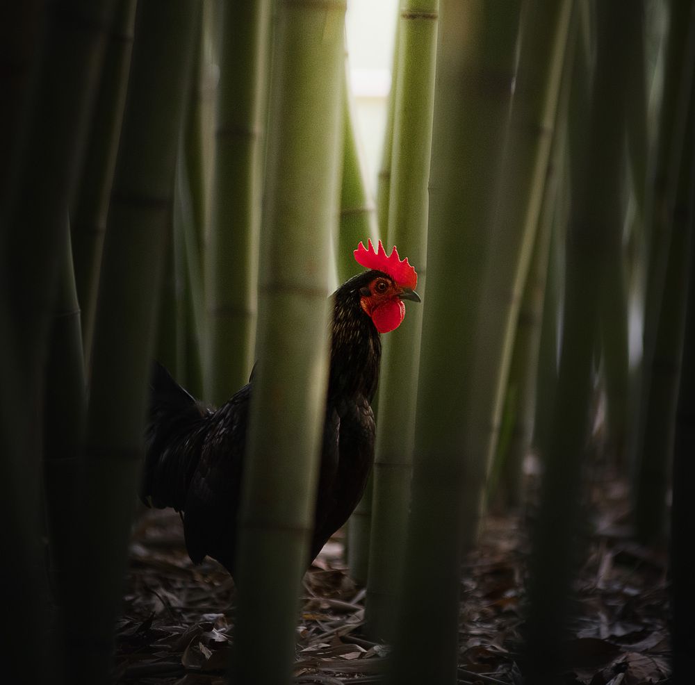 Photograph by Юлия Григорьева