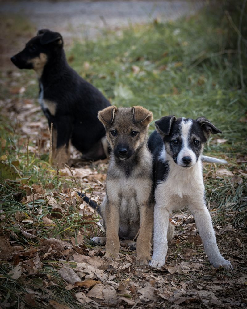 Photograph by Tatiana Shtun