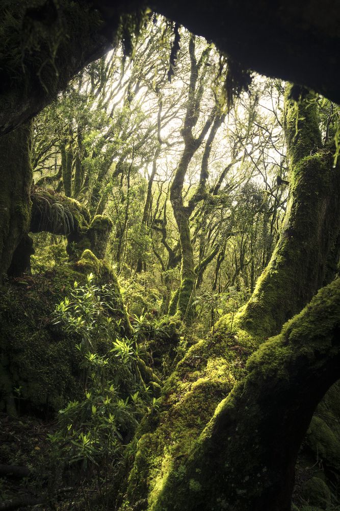 Photograph by Valdir Hobus