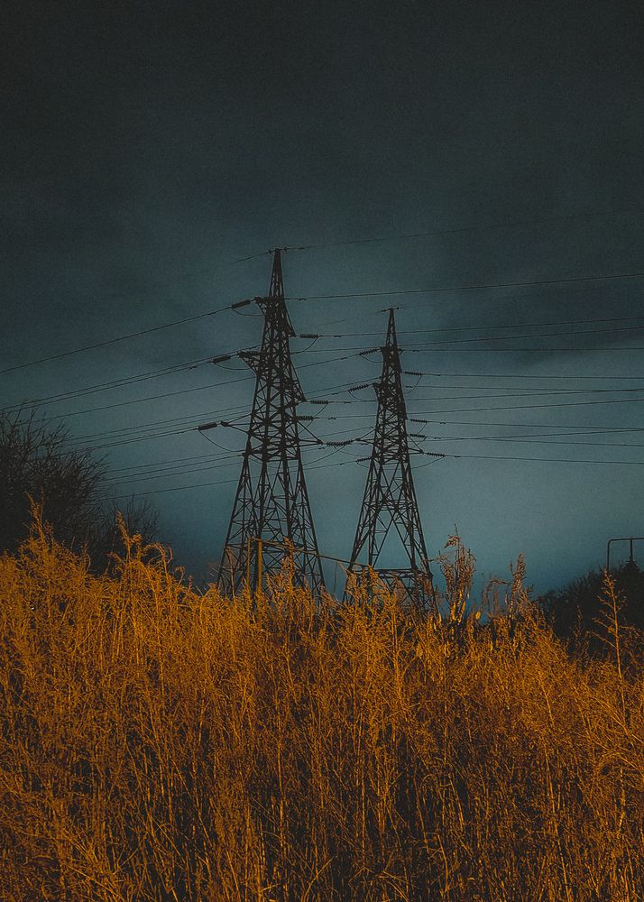 Фотография автора Людмила Горячева