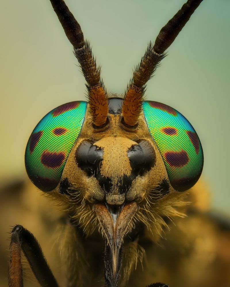 Photograph by Юрий Юрьевич Подгрушный