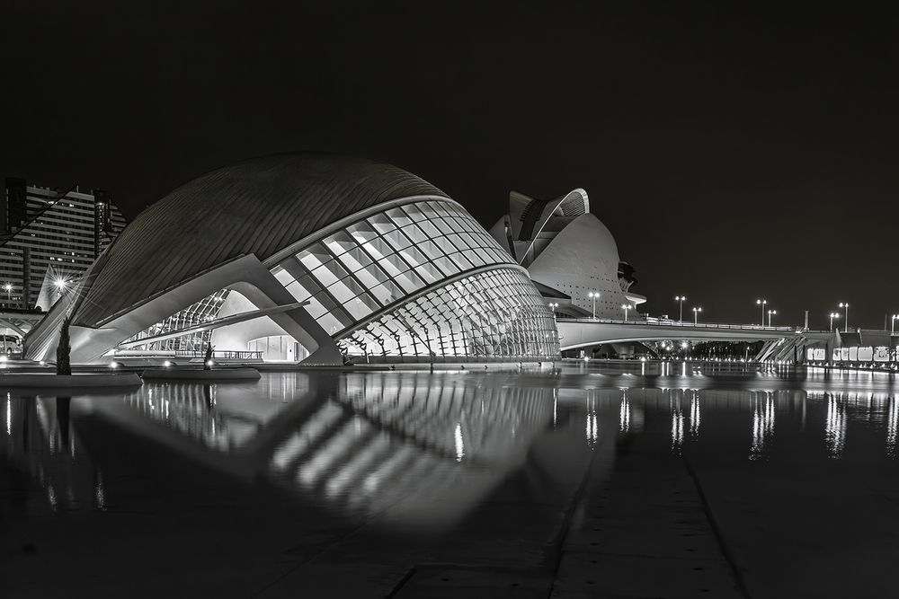 Фотография автора Марина Ческис