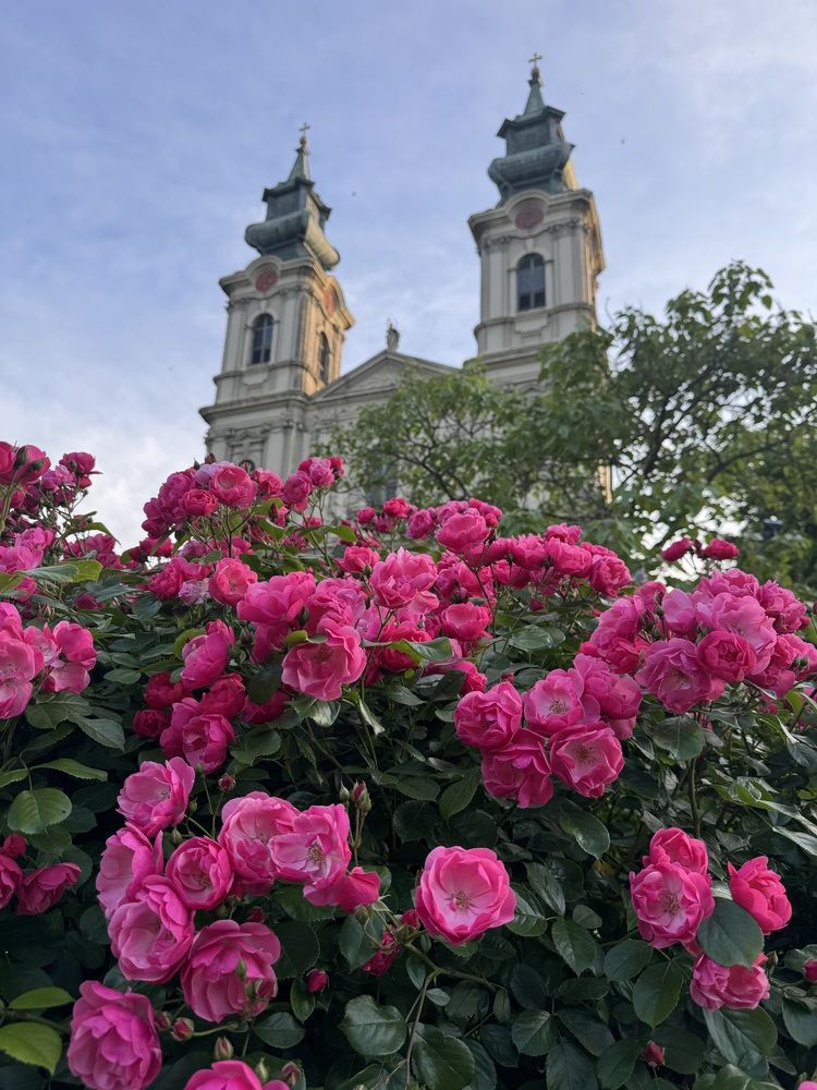 Photograph by Татьяна Терлецкая