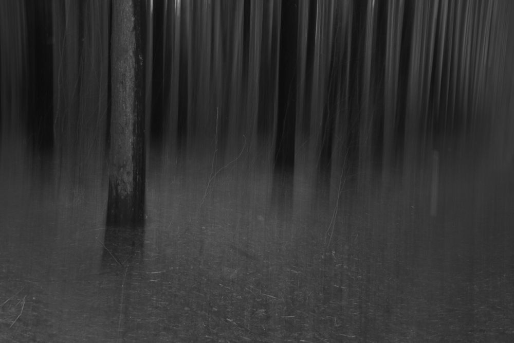 Фотография автора Романов Олег