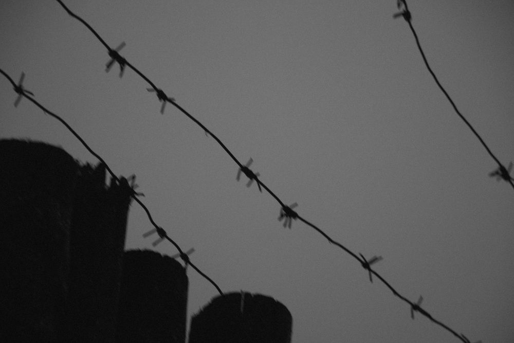 Фотография автора Романов Олег