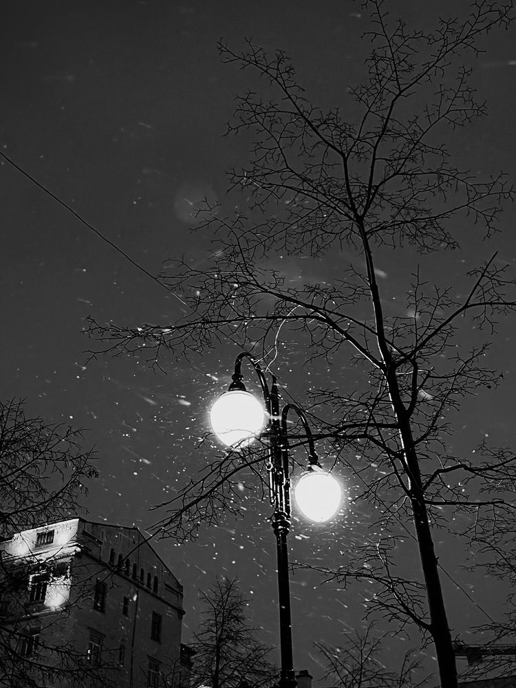 Photograph by Екатерина Сбитякова