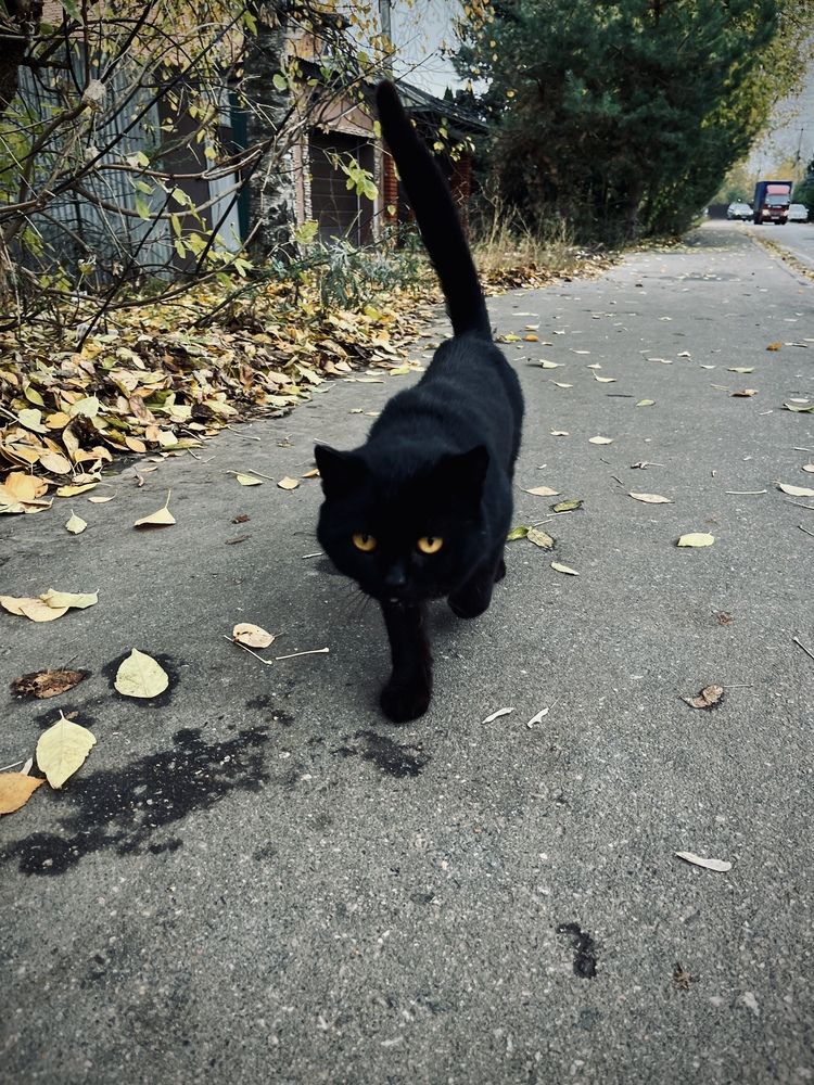 Photograph by Екатерина Сбитякова