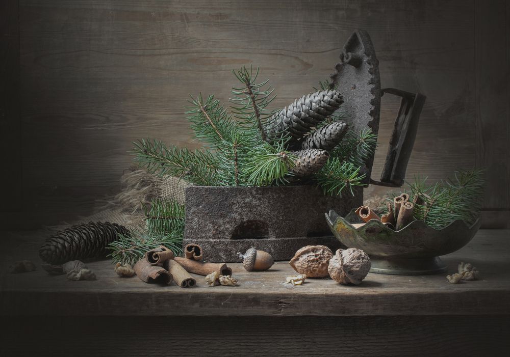 Photograph by Шипунова Ирина