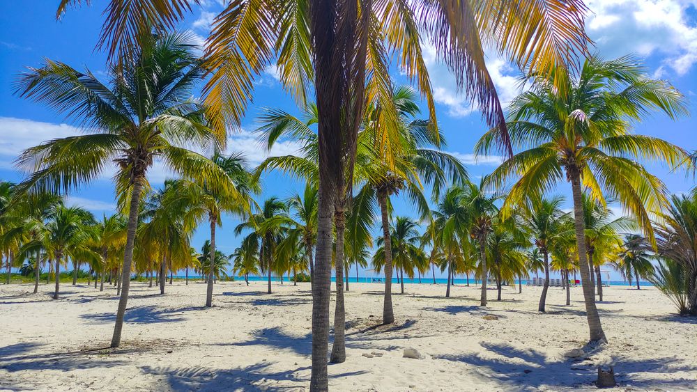 Photograph by Дмитрий Кондратьев