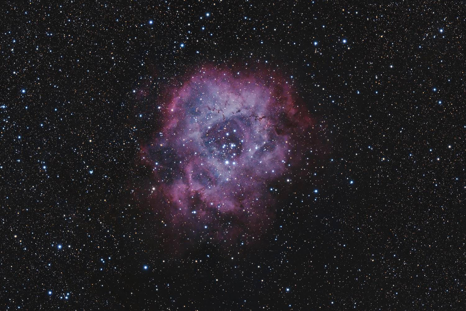 Фотография #12909382